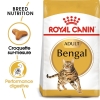 Animalerie Centrale - Royal Canin - Bengal Adulte