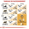 Animalerie Centrale - Royal Canin - Bengal Adulte