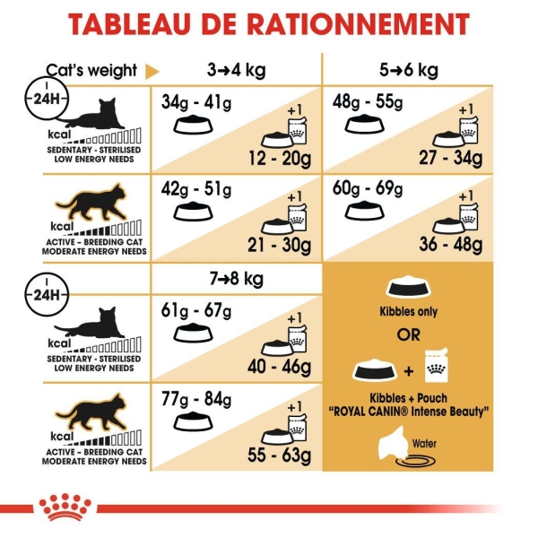 Animalerie Centrale - Royal Canin - Bengal Adulte