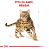 Animalerie Centrale - Royal Canin - Bengal Adulte