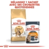 Animalerie Centrale - Royal Canin - Bengal Adulte
