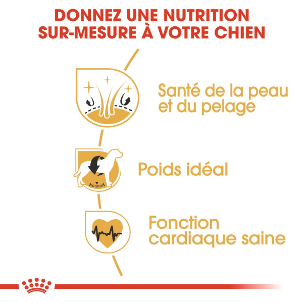 Animalerie Centrale - Royal Canin - Cocker Adulte