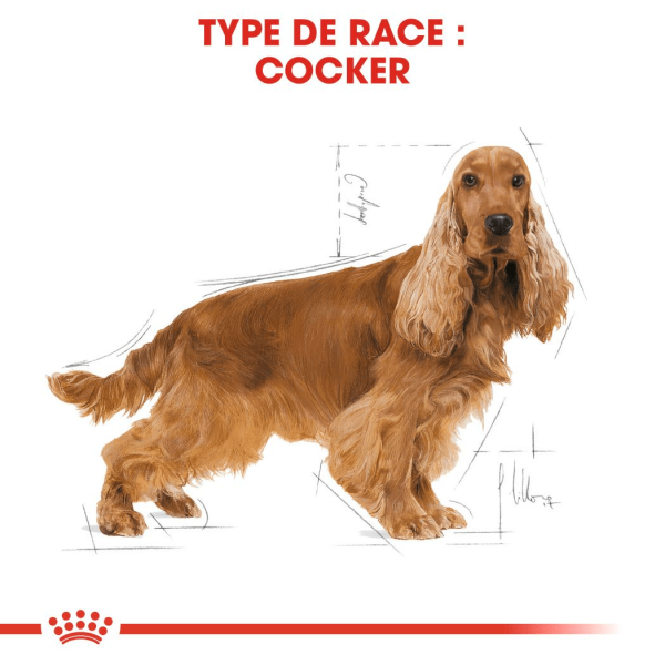 Animalerie Centrale - Royal Canin - Cocker Adulte