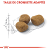 Animalerie Centrale - Royal Canin - Fit 32