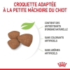 Animalerie Centrale - Royal Canin - Mini Puppy Pour Chiot