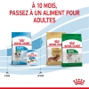 Animalerie Centrale - Royal Canin - Mini Puppy Pour Chiot