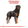 Animalerie Centrale - Royal Canin - Rottweiler Adulte
