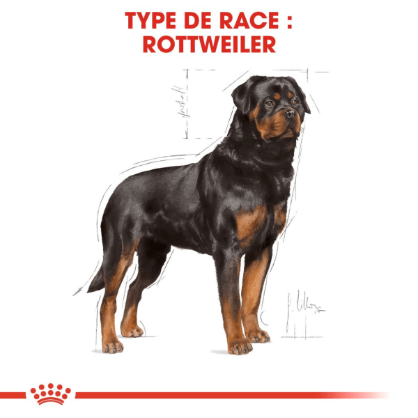 Animalerie Centrale - Royal Canin - Rottweiler Adulte