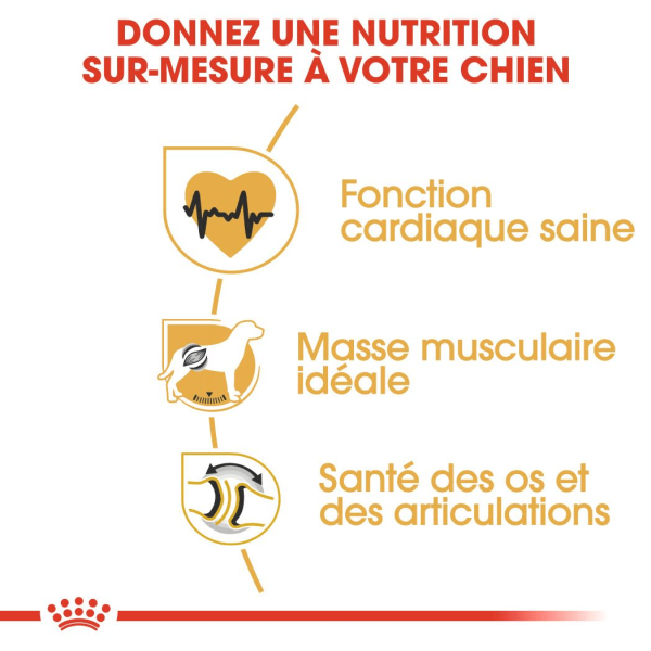 Animalerie Centrale - Royal Canin - Rottweiler Adulte