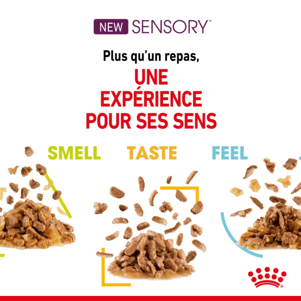 Animalerie Centrale - Royal Canin - Sensory™ Taste En Sauce