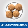 Animalerie Centrale - Hill'S Science Plan Aliment Pour Chien Adulte De Grande Race Au Poulet