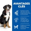 Animalerie Centrale - Hill'S Science Plan Aliment Pour Chien Adulte De Grande Race Au Poulet